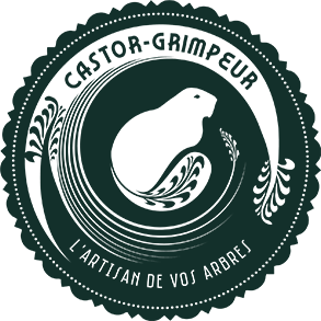 Castor Grimpeur